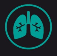 R – Respiration (B)